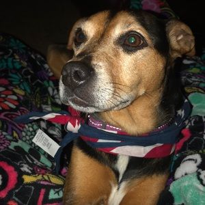 Meet your Posher, Kennedy